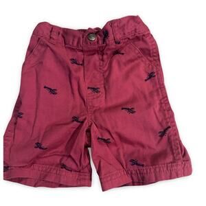 Izod Baby Boys Shorts 12 Months Rust Lobster Print Summer Shorts